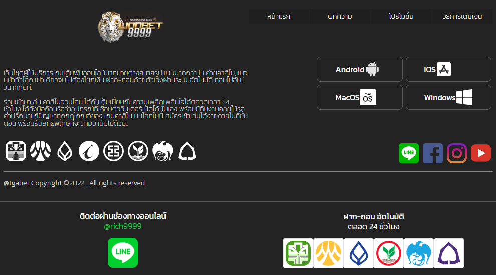 LIONBET9999
